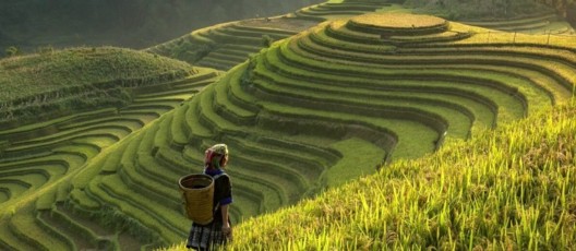 Vietnam, Il Fascino del Sud-Est Asiatico