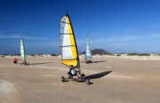 Barcelò Corralejo Sands