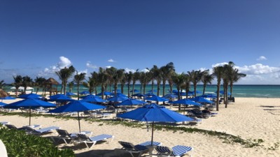 The Reef Playacar Beach Resort