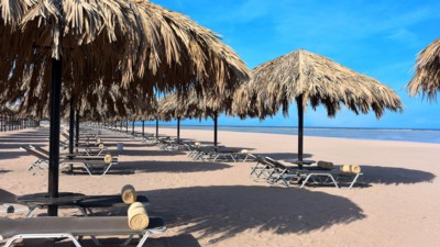 Steigenberger Alcazar Resort   deluxe