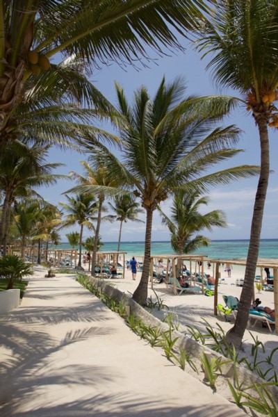 Akumal Bay Beach & Wellness Resort