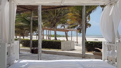 Life Resort St. Thomas Royal Palm