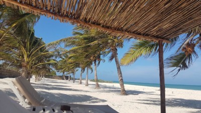 Life Resort St. Thomas Royal Palm