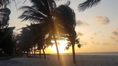 Life Resort St. Thomas Royal Palm