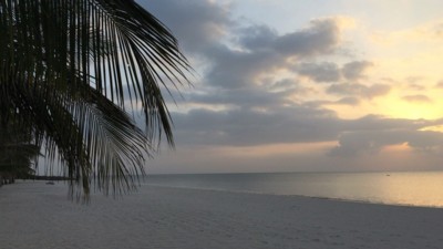 Life Resort St. Thomas Royal Palm