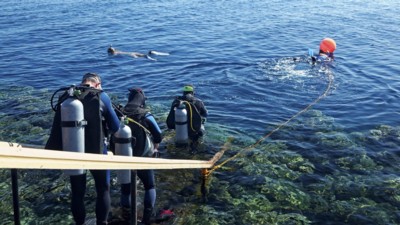 The Three Corners Fayrouz Plaza Beach Resort