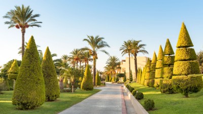 Horizon Beach Resort