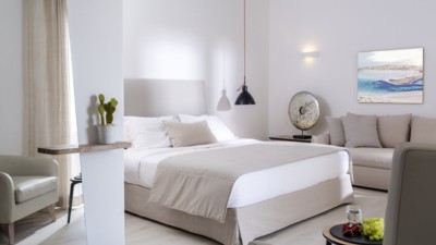 Mykonos Princess Hotel