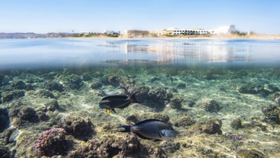The Three Corners Equinox Beach Resort